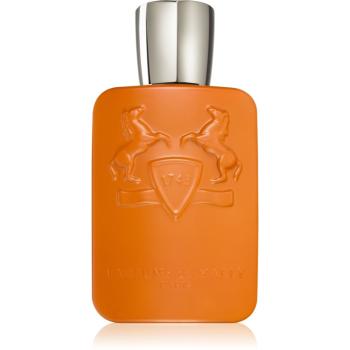 Parfums De Marly Althaïr parfémovaná voda pro muže 125 ml