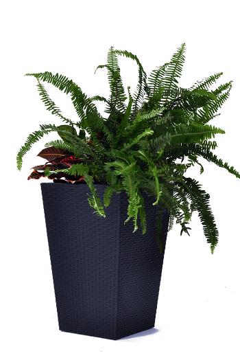 Květináč RATTAN PLANTER Keter 53x53x73 cm