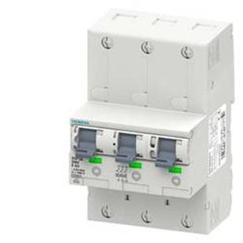 Ochranný spínač pro hlavní kabel Siemens 5SP38253, 25 A, 230 V, 400 V