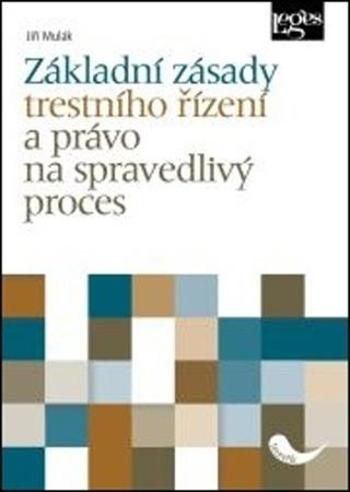 Základní zásady trestního řízení a právo na spravedlivý proces - Mulák Jiří