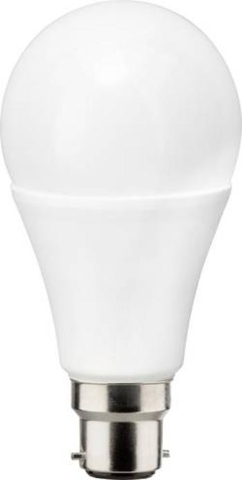 LED žárovka Müller-Licht 400314 230 V, B22d, 12 W = 100 W, neutrální bílá, A++ (A++ - E), tvar žárovky, 1 ks