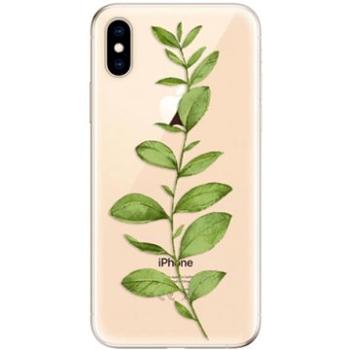 iSaprio Green Plant 01 pro iPhone XS (grpla01-TPU2_iXS)