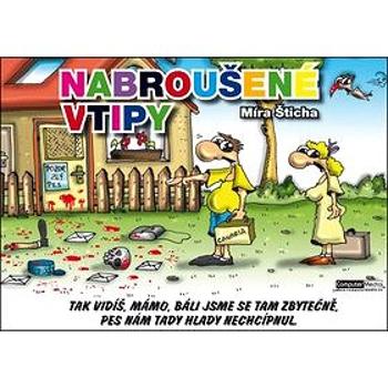 Nabroušené vtipy (978-80-7402-134-3)