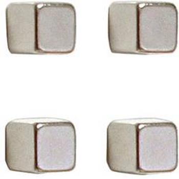 Franken HMN1010 neodymový magnet, (š x v x h) 10 x 10 x 10 mm, krychle, stříbrná, 4 ks