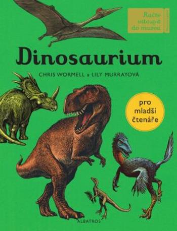 Dinosaurium - pro mladší čtenáře - Lily Murrayová