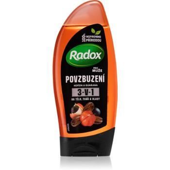 Radox Men Invigorating sprchový gel pro muže 3 v 1 250 ml