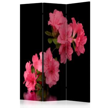 Paraván Azalea in Black Dekorhome 135x172 cm (3-dílný)