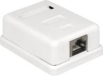 Síťová zásuvka pod omítku Delock 86169, CAT 6, 1 port, bílá