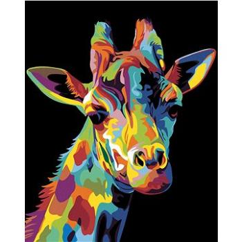 Malování podle čísel - Žirafa (HRAmal00661nad)