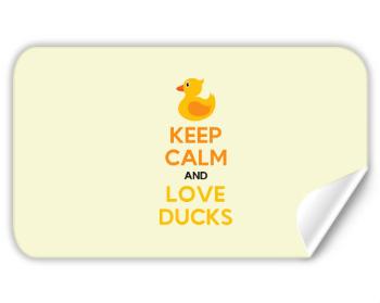 Samolepky obdelník Keep calm and love ducks