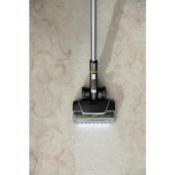 2907D MULTIREACH ACTIVE PET BISSELL