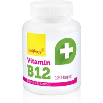 Wolfberry Vitamín B12 BIO kapsle pro podporu snížení míry únavy a vyčerpání 120 cps