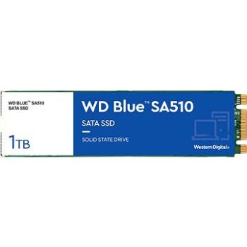 WD Blue SA510 SATA 1TB M.2 (WDS100T3B0B)