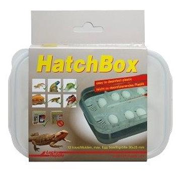Lucky Reptile HatchBox 17 × 11 cm (4040483698215)