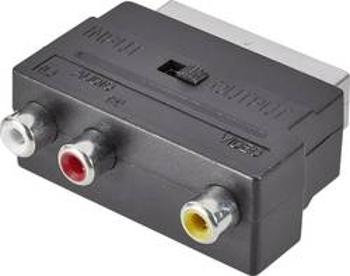 Cinch / SCART adaptér SpeaKa Professional SP-7870340, černá