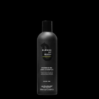 Alfaparf Milano Blends of Many Jemný posilňující šampon proti vypadávání vlasů 250 ml