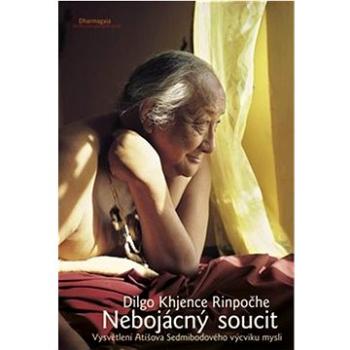 Nebojácný soucit (978-80-7436-036-7)