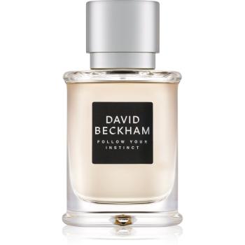 David Beckham Follow Your Instinct toaletní voda pro muže 50 ml