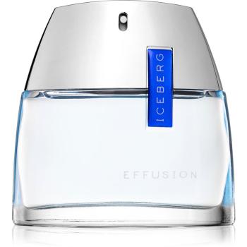 Iceberg Effusion Man toaletní voda pro muže 75 ml