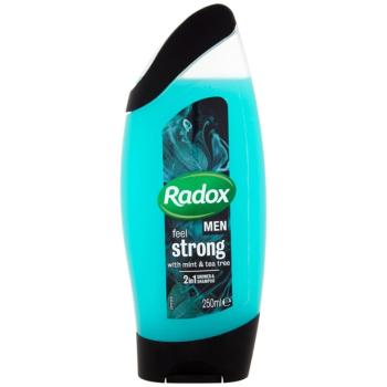 Radox Men Feel Strong sprchový gel a šampon 2 v 1 Mint & Tea Tree 250 ml