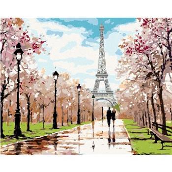 Malování podle čísel - Milenci v parku u Eiffelovy věže (Richard Macneil) (HRAbz33145nad)