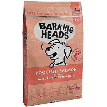 Barking Heads Pooched Salmon 12 kg (5060189110087)