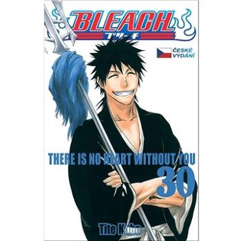 Bleach 30: There Is No Heart Withnout You (978-80-7679-159-6)