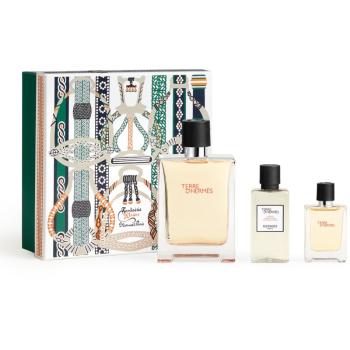 HERMÈS Terre d’Hermès Christmas limited edition dárková sada pro muže