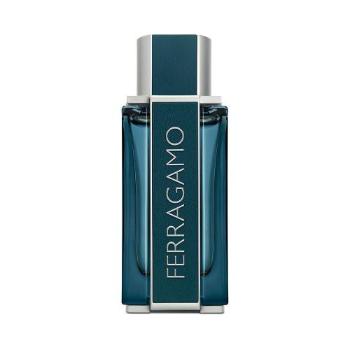 Salvatore Ferragamo Ferragamo Intense Leather 100 ml parfémovaná voda pro muže