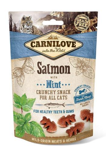 CARNILOVE cat SALMON/mint - 50g