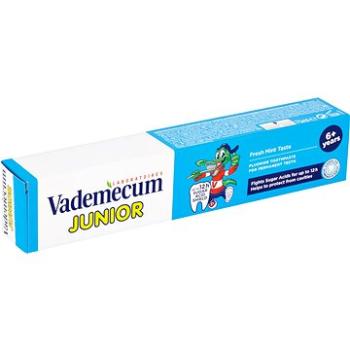 VADEMECUM Junior 6+ Fresh mint 75 ml (9000100993609)