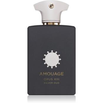 Amouage Opus XIII: Silver Oud parfémovaná voda unisex 100 ml