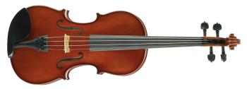 Martin W. Placht Stradivari model S