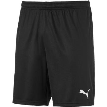 Puma TEAM GOAL 23 KNIT SHORTS Pánské kraťasy, černá, velikost