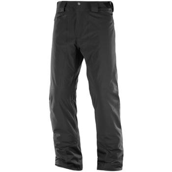 Salomon ICEMANIA PANT M Pánské lyžařské kalhoty, černá, velikost XL