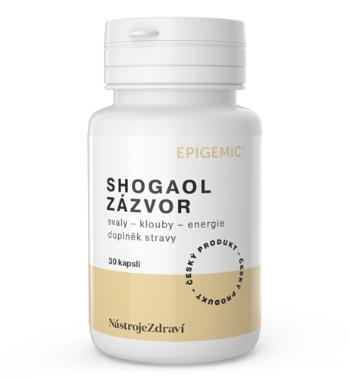 Epigemic® Shogaol Zázvor - 30 kapslí- Epigemic®