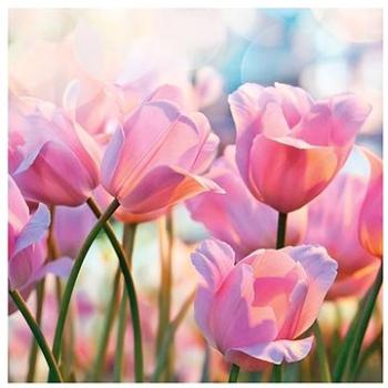 Goba ubrousky Pink Tulips (3400141)