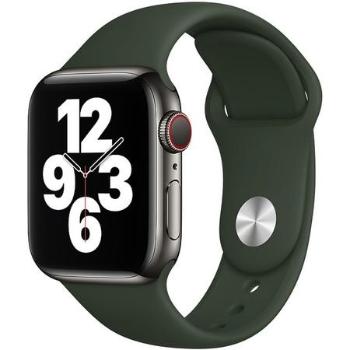 Apple Watch MG423ZM/A