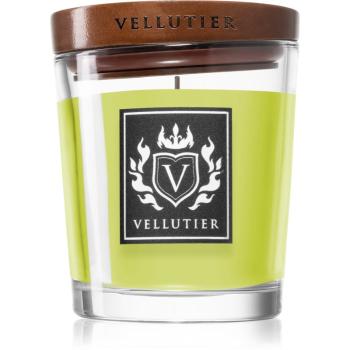 Vellutier Ancient Oakwoods vonná svíčka 90 g