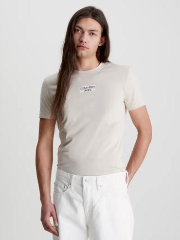 Calvin Klein pánské béžové tričko TRANSPARENT STRIPE LOGO - XL (ACI)