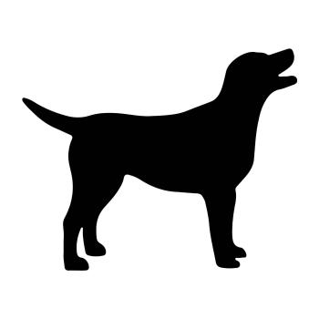Vsepropejska Labrador dřevěná dekorace na zeď Rozměr (cm): 17 x 21, Typ: Labrador 4, Dekor: Černá + jméno psa