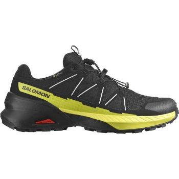 Salomon SPEEDCROSS PEAK GTX Pánská obuv pro trailový běh, černá, velikost 42 2/3