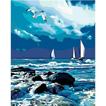 Malování podle čísel - Plachetnice na moři a letící racek (HRAmal00908nad)