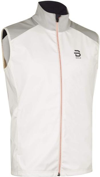 Bjorn Daehlie Vest Legacy - 10000 L