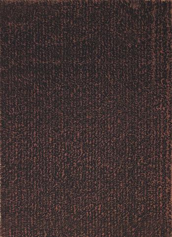 Berfin Dywany Kusový koberec Ottova Brown - 160x220 cm Hnědá