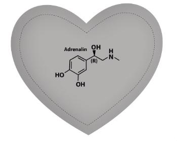 Polštář Srdce Adrenalin