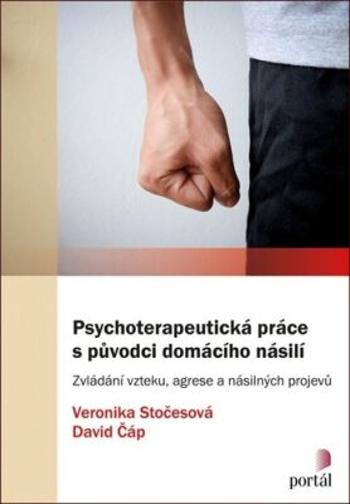Psychoterapeutická práce s původci domácího násilí - Zvládání vzteku, agrese a násilných projevů - David Čáp, Veronika Stočesová