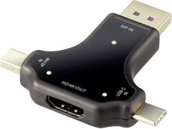 DisplayPort / HDMI adaptér Renkforce RF-3846634, černá