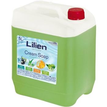 LILIEN Tekuté mýdlo kanystr Aloe Vera 5 l (8595196903003)