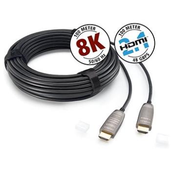 Inakustik HDMI 2.1 10m (009245010)